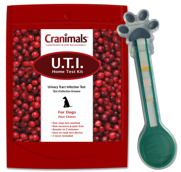 can dogs eat cranberries for uti