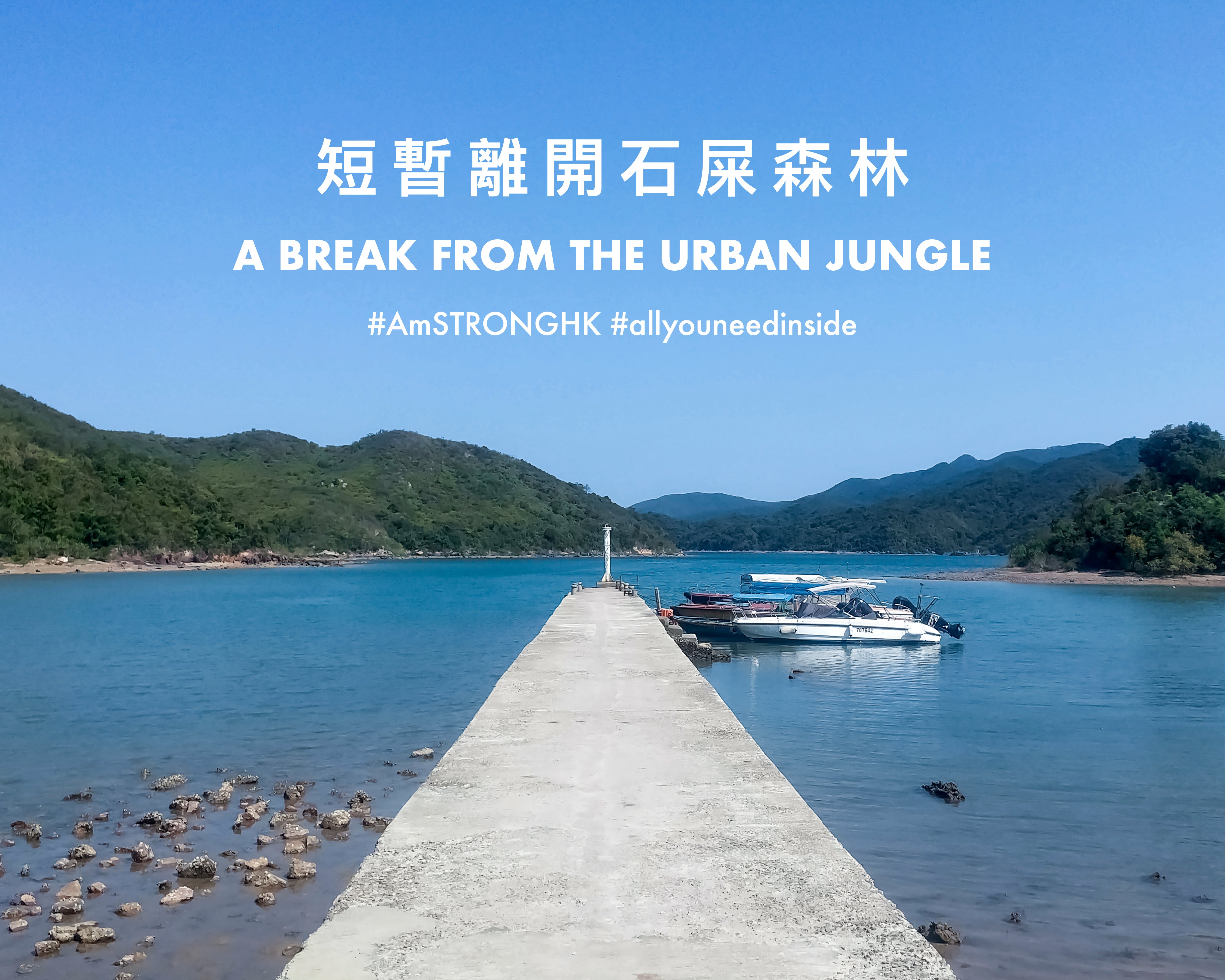 AmSTRONG | a break from the urban jungle