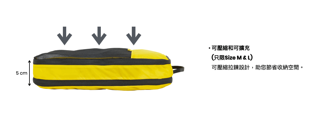 AmSTRONG ActiveAce