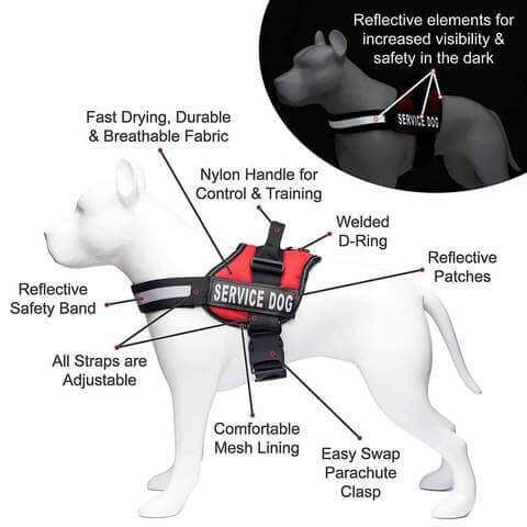 Dog Harness Features