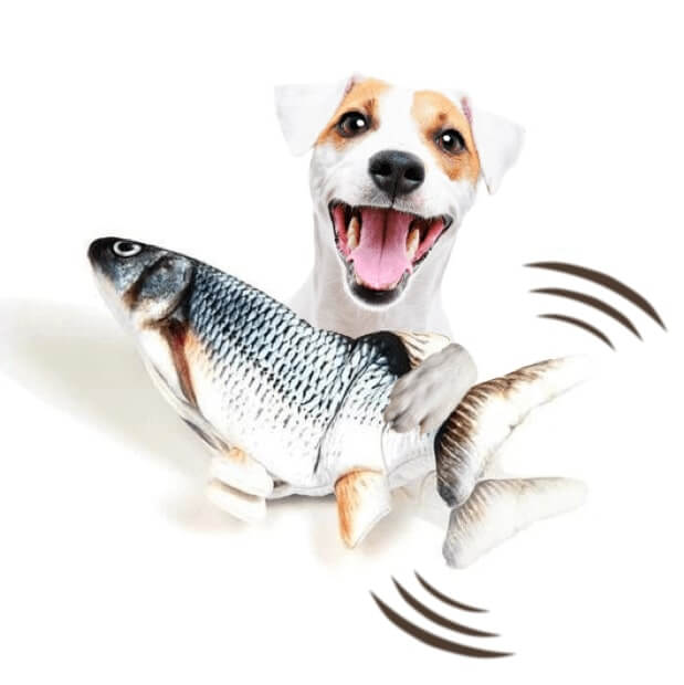Realistic fish simulation