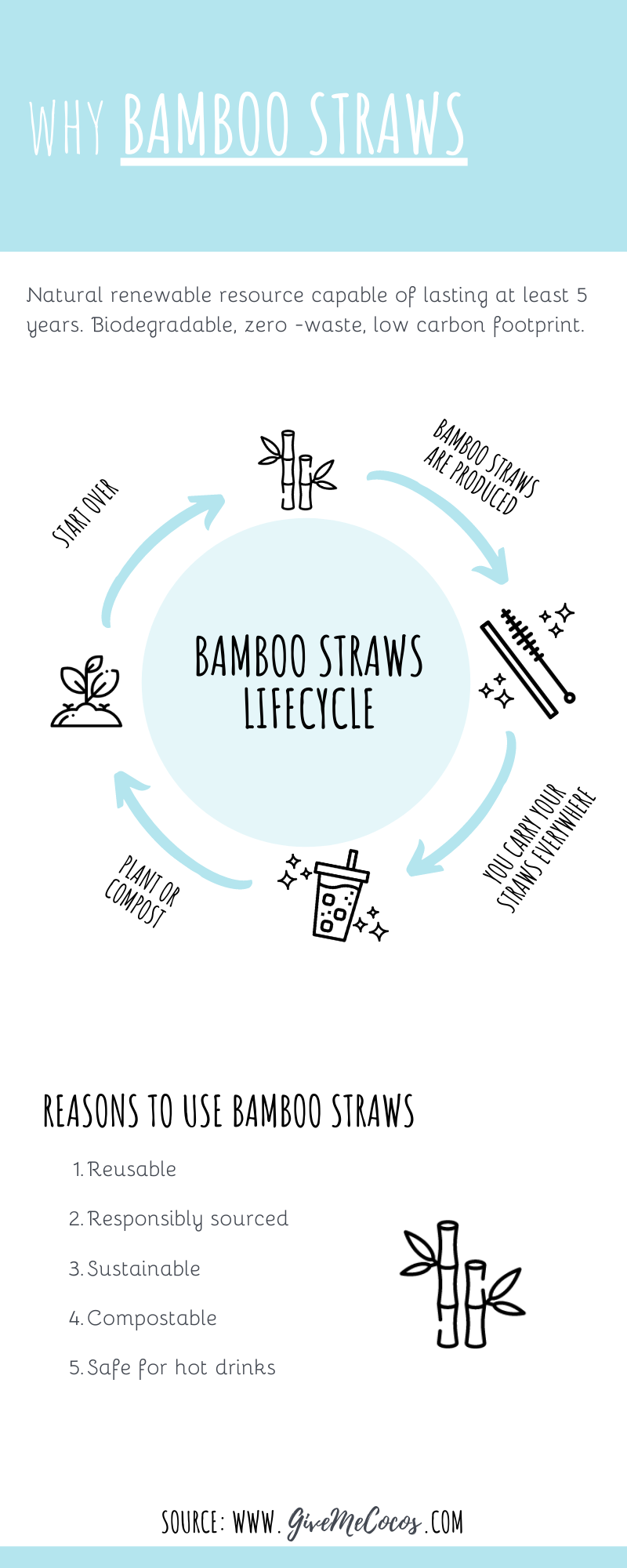 Why You Should Use Bamboo Straws 