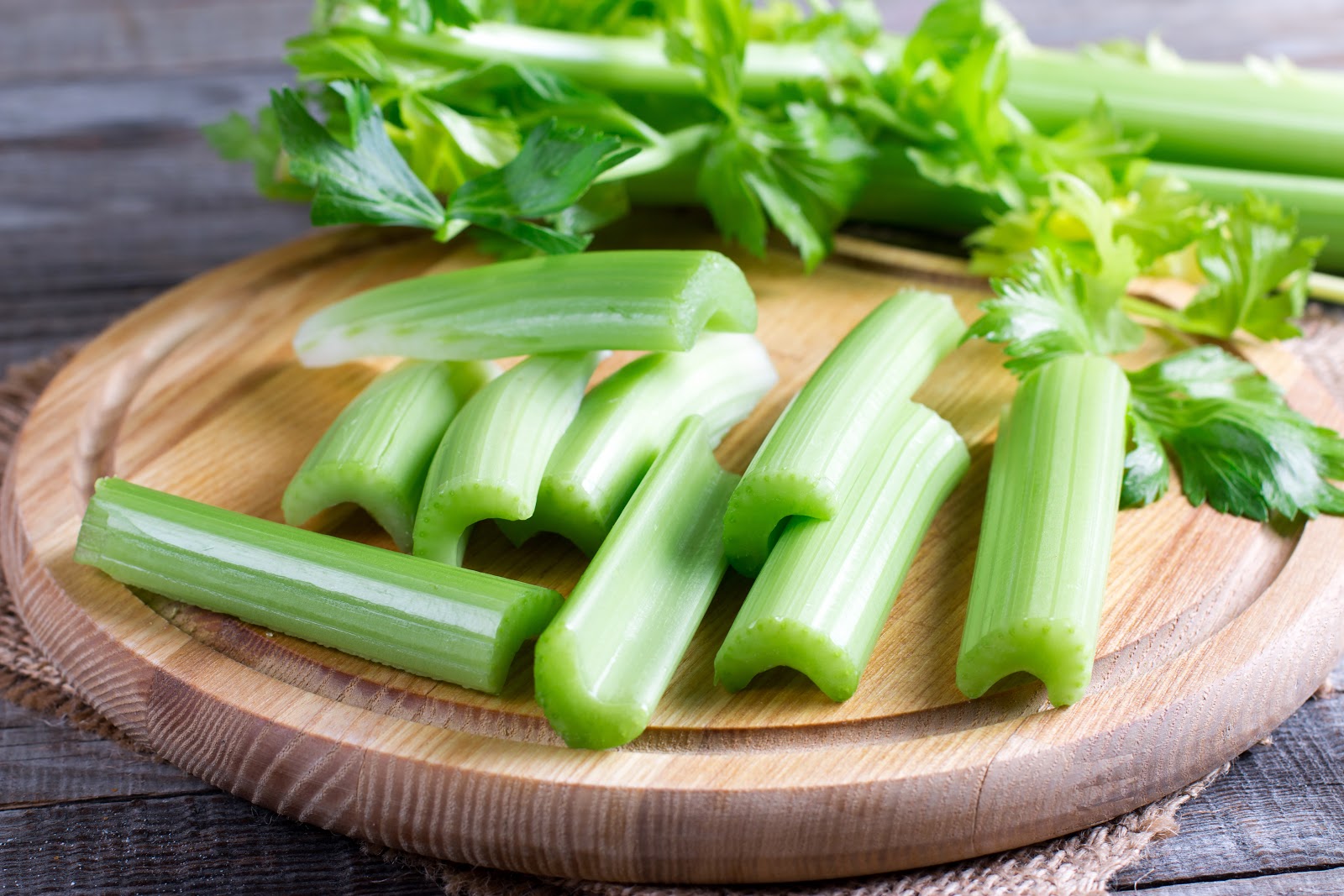 Can Dogs Eat Celery? The Benefits of Celery for Dogs PetHonesty