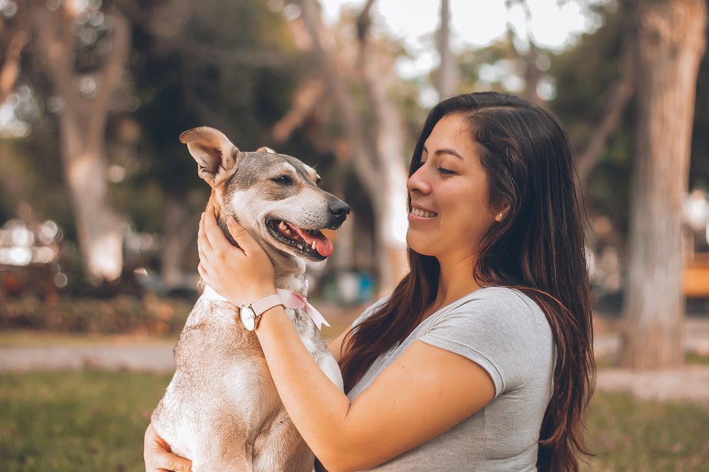 Woman holding a cute mixed-breed dog