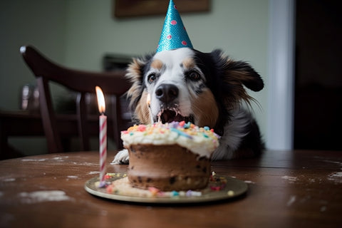 dog-eating-cake-his-birthday-ai-generative