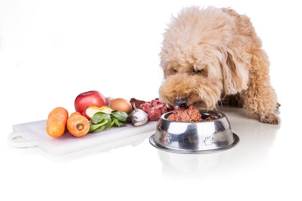 Traditional Pet Foods vs. Bowl Building