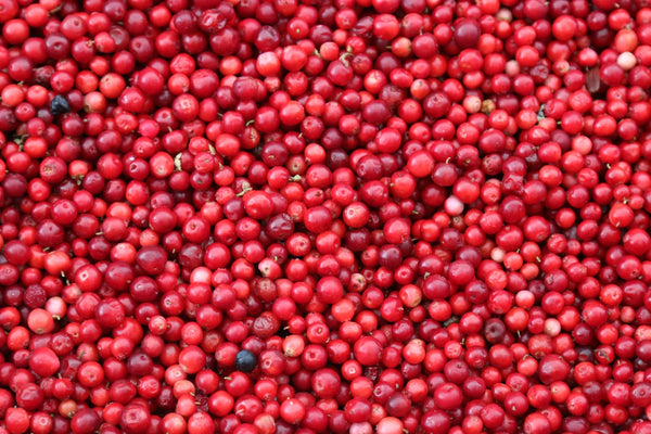 are cranberry capsules safe for dogs