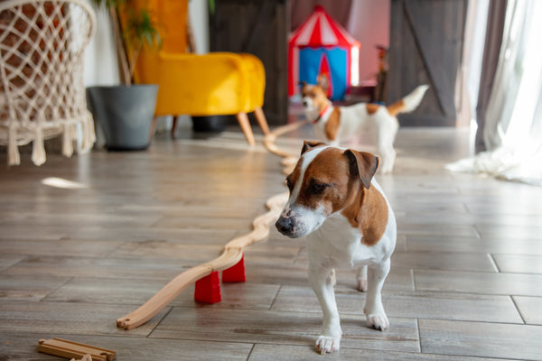 obstacle-course-as-an-option-for-indoor-activity