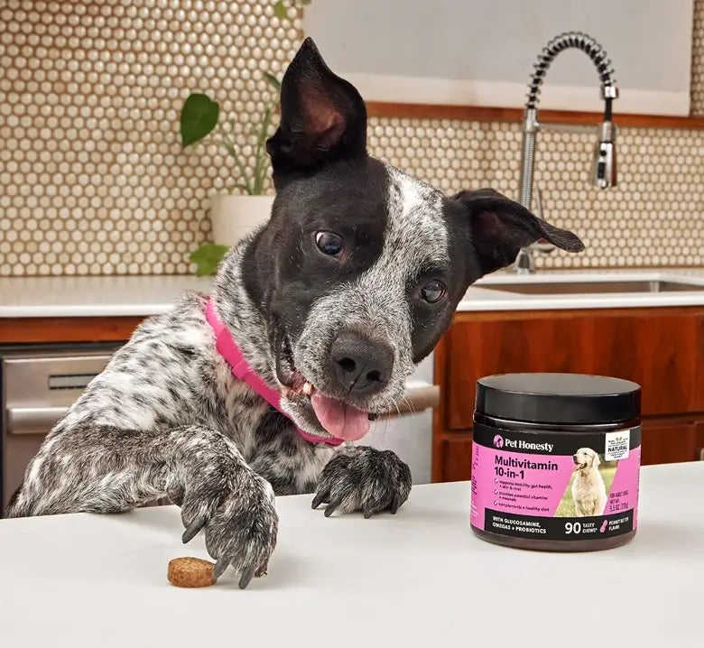 dog multivitamin