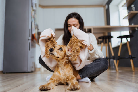 dog itchy skin home remedy