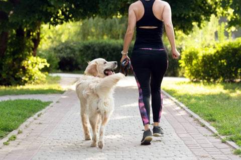 sport-girl-running-with-golden-retriever-dog-outdoors