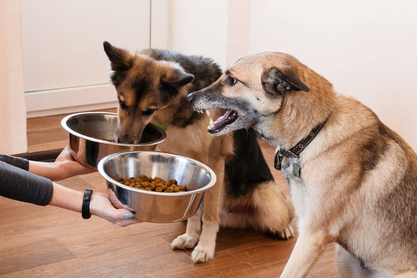 a good diet may help with shedding