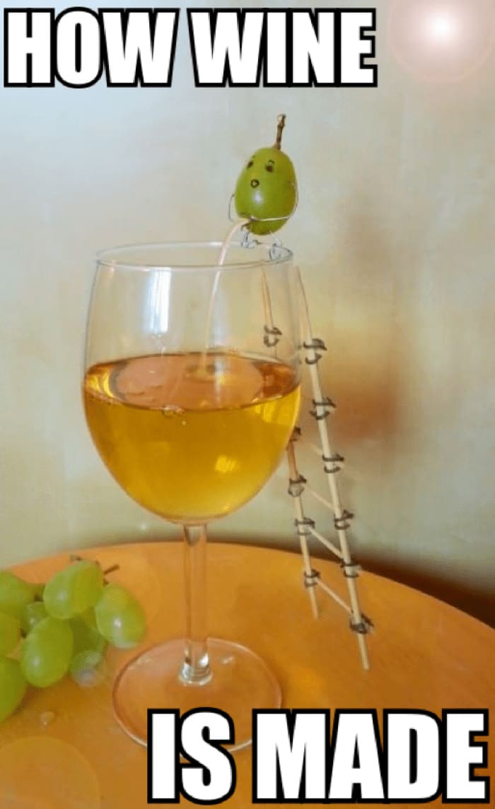 grapeandwhiskey grapes wine wines tasting winetasting winelover glass friends love cheers winememes meme memes winejokes