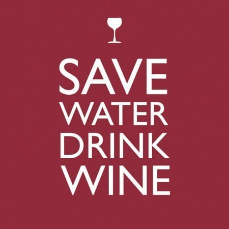 savewater grapeandwhiskey grapes wine wines tasting winetasting winelover glass friends love cheers winememes meme memes winejokes