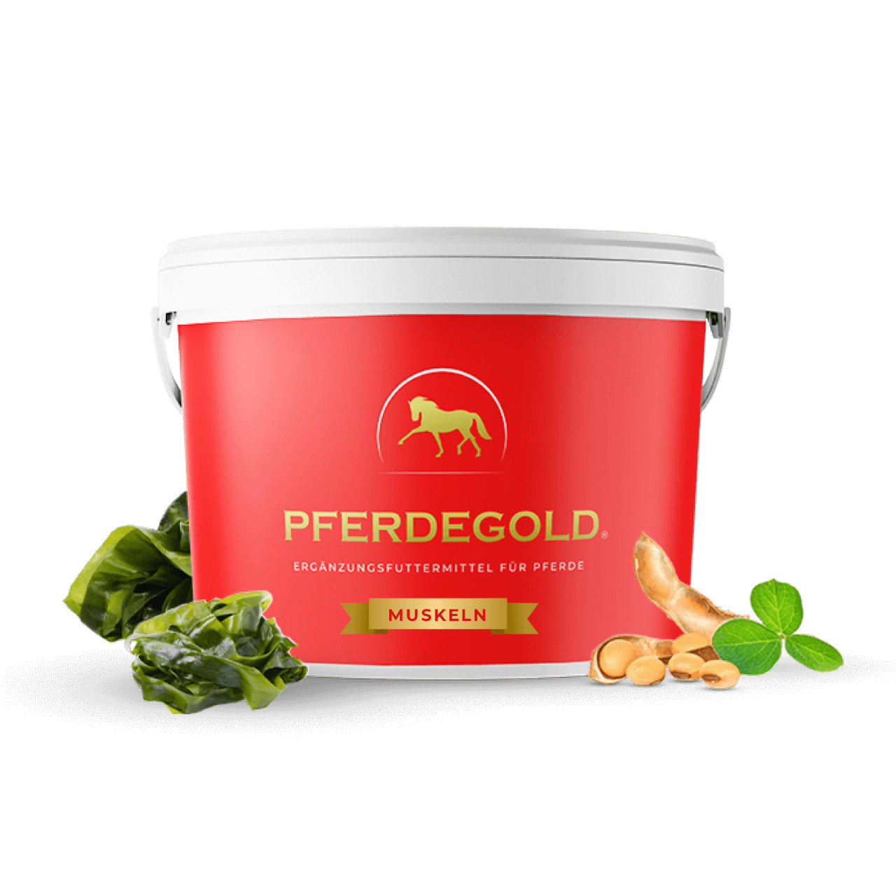 Pferdegold® Muskeln 25% Rabatt - Pferdegold product image