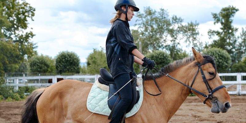 Longenarbeit mit Deinem Pferd