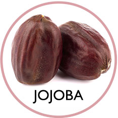 Jojobaöl