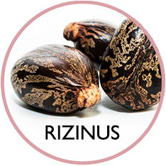 Rizinusöl