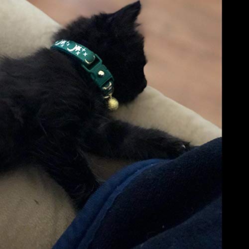 emerald cat collar