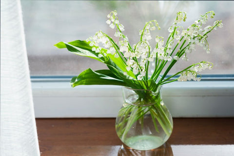 Would Spring Still Smell Like Spring Without Lily of the Valley