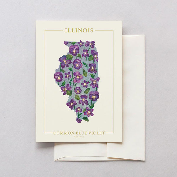 Illinois - 50 States of Beauty
