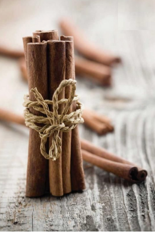 Cinnamon sticks wrapped with string