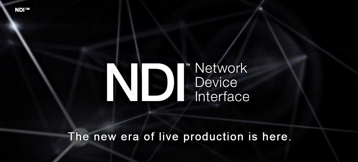 Logo NDI