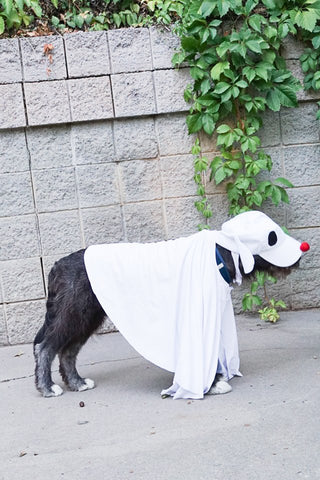 8 Pawsome DIY Dog Halloween Costumes – Wildebeest
