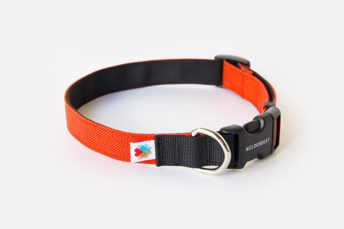 Funston Dog Collar / Orange — Wildebeest