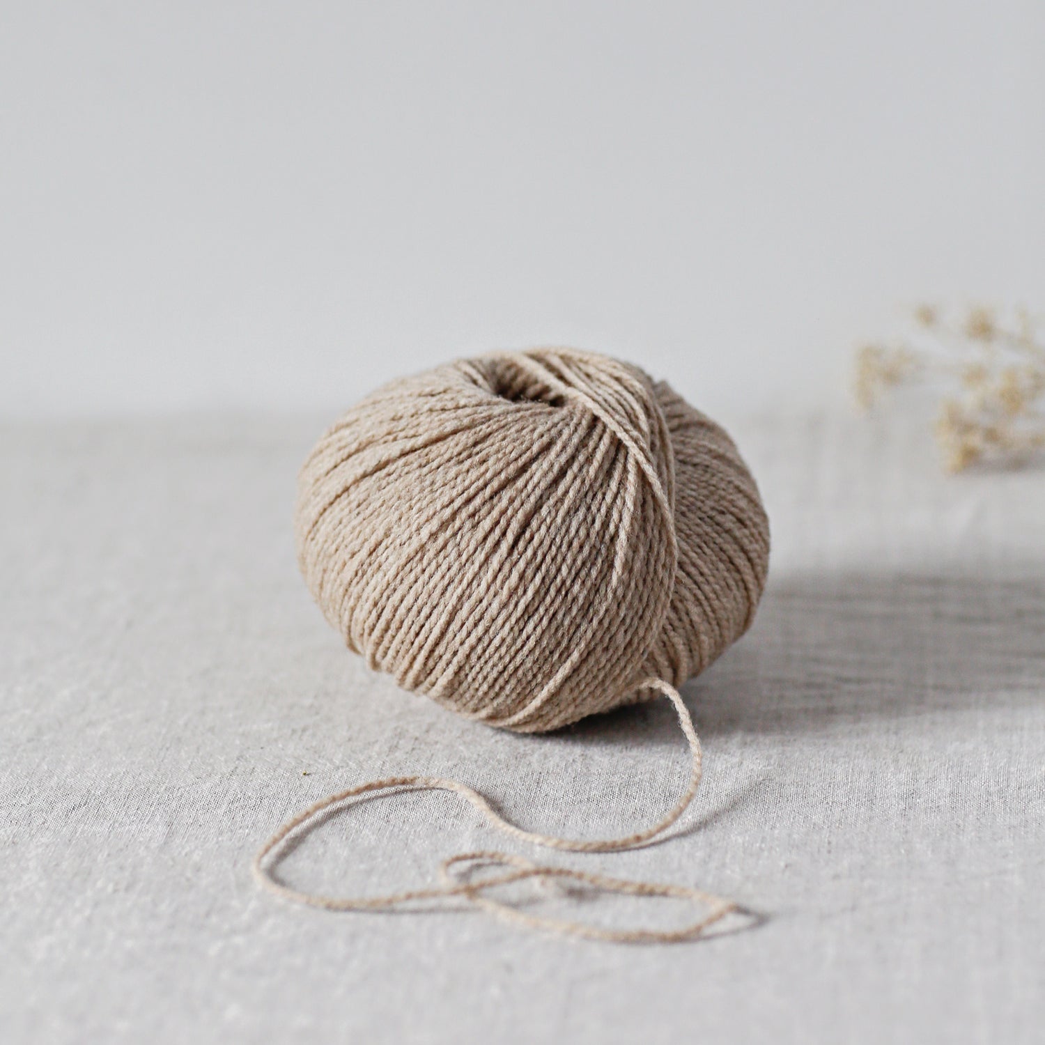 De Rerum Natura - Ulysse (Sport) – Northern Yarn