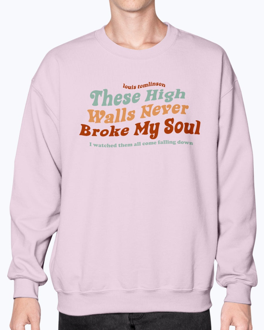 louis tomlinson sweatshirt