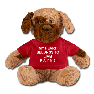 My Heart Belongs to Liam Plush - red