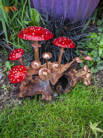 Copper toadstools