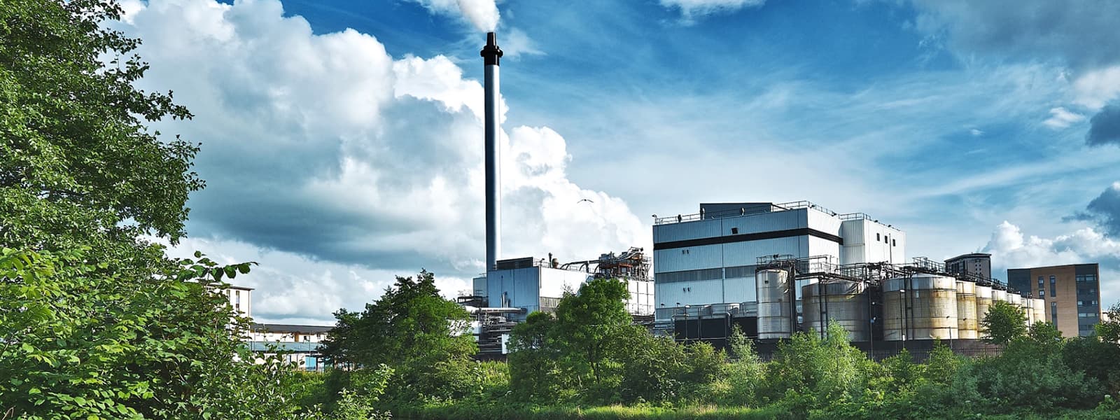 strathclyde distillery tour