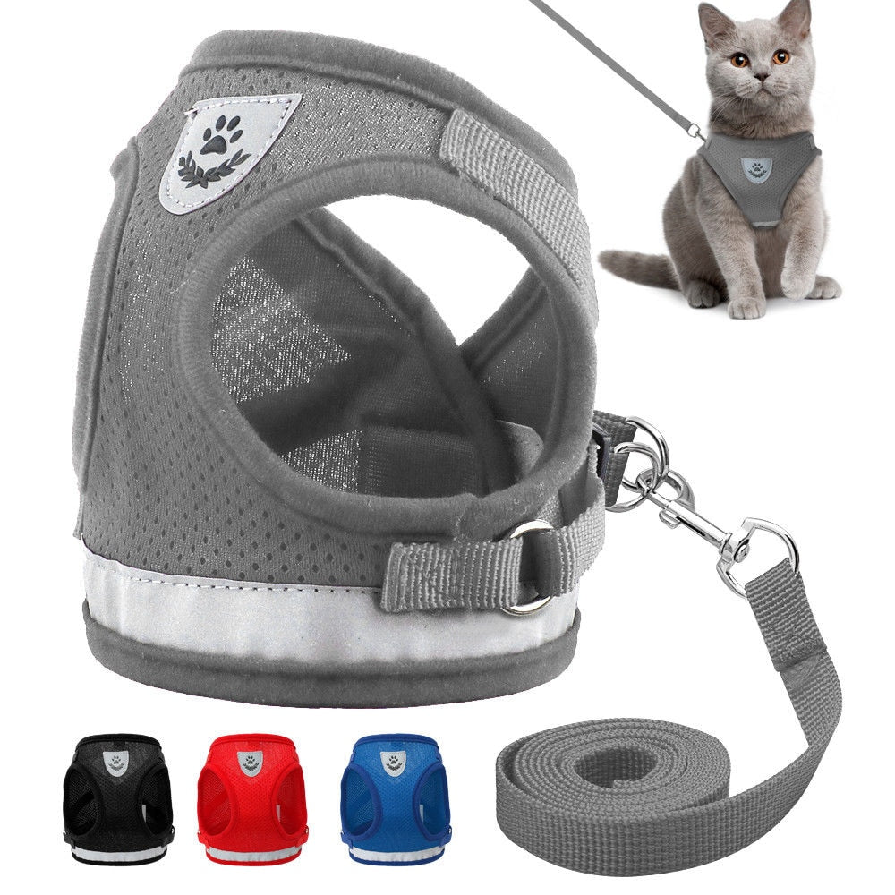 reflective cat harness