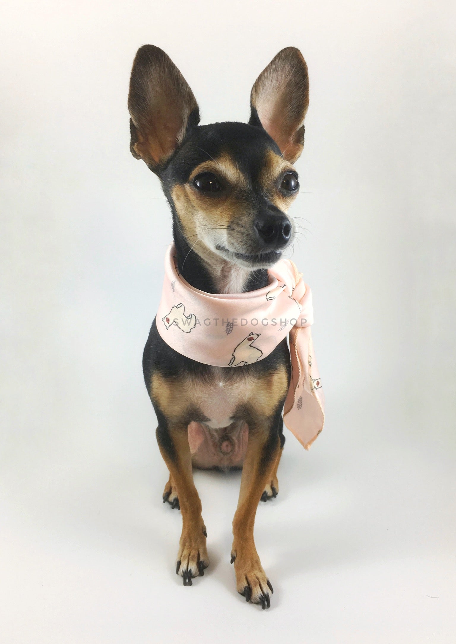 pink dog scarf