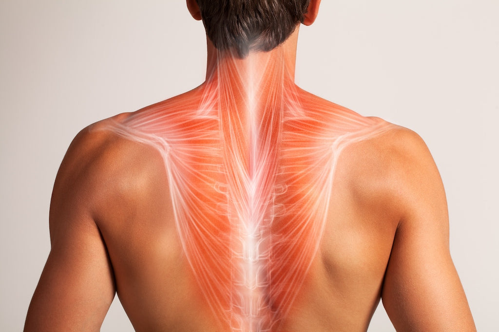 how-to-relieve-upper-back-pain