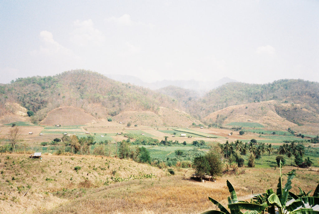 панорама kodak pro image 100