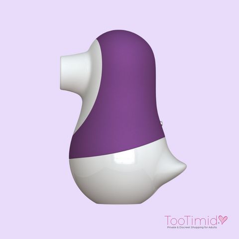 Click here to shop the charming clit buddy duo air pulse toy