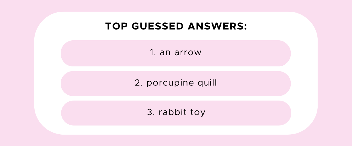 Top guesses: an arrow, porcupine quill, rabbit toy