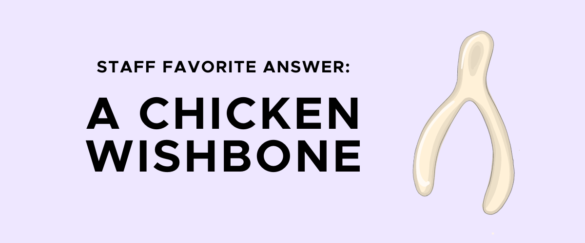 Staff favorite answer: A chicken wishbone