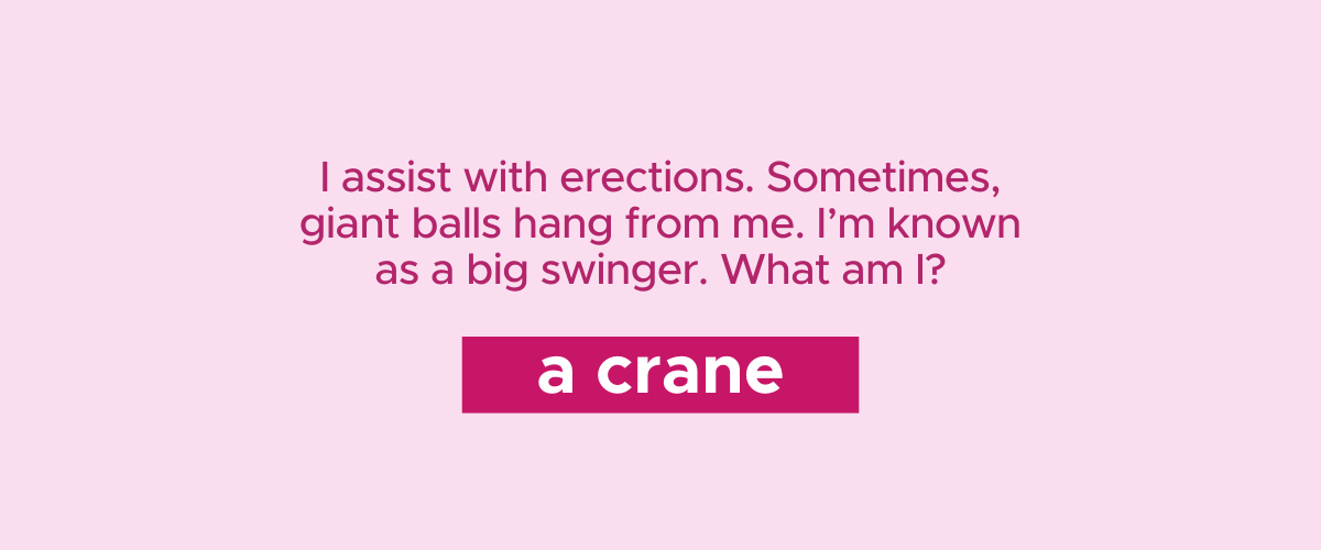 I assist with erections. Sometimes, giant balls hang from me. I’m known as a big swinger. What am I? A crane!