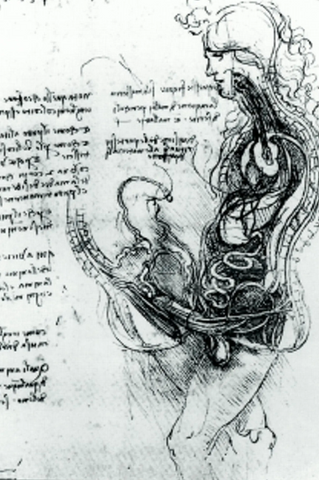 Leonardo da Vinci's "The Copulation" drawing 