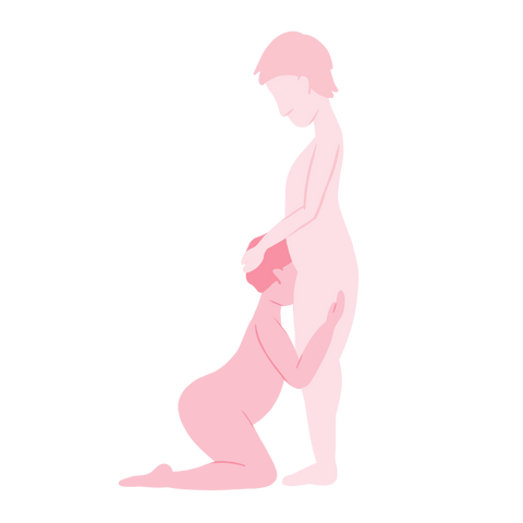 Standing oral sex position illustration