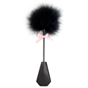 A riding crop with a teasing feather attachment.