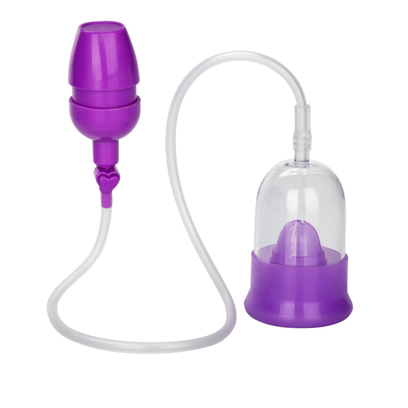 Picture of purple vaginal pump