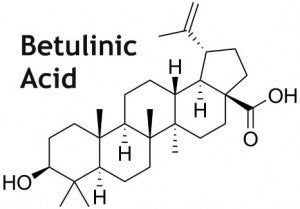 Betulinic Acid Compound Structure