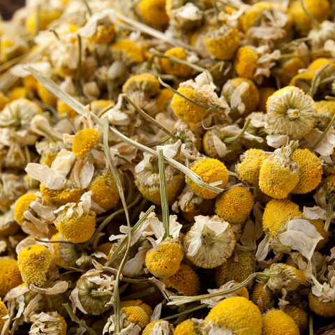 Dried Chamomile - Antioxi