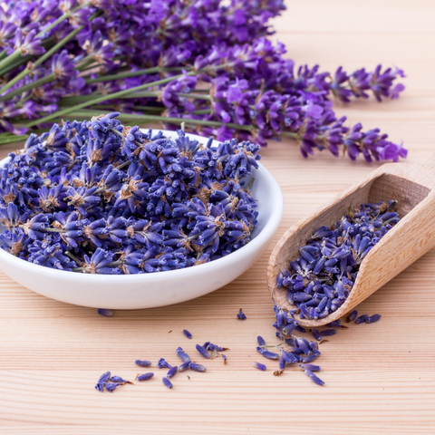 Lavender In A Bowl - Antioxi