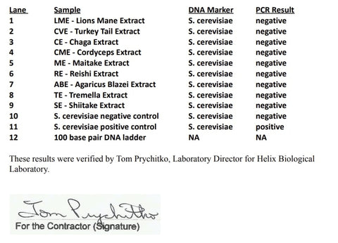 Laboratory report snippet from Helix Lab showing conclusive results with no detection of Saccharomyces cerevisiae in Antioxi mushroom extract products.
